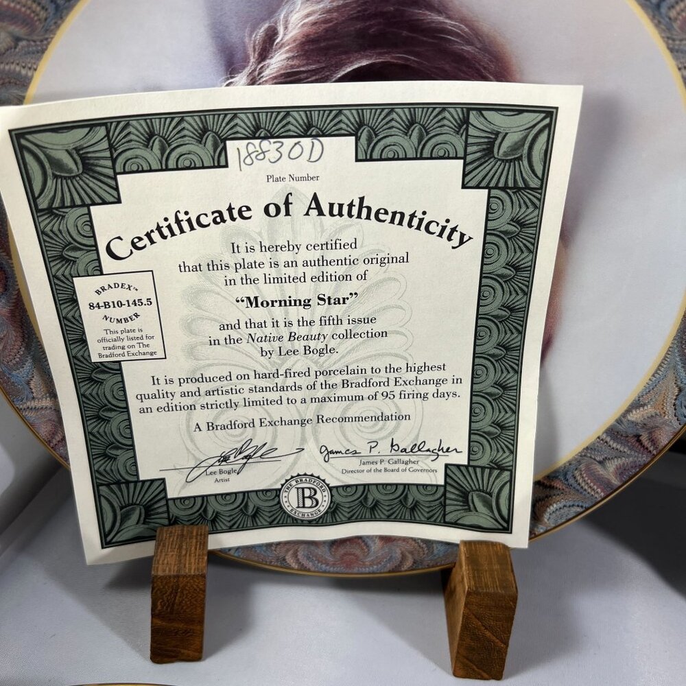 Set of 4 Plates Bradford Exchange - Native Beauty - Native American Inspired - W - Picture 7 of 10